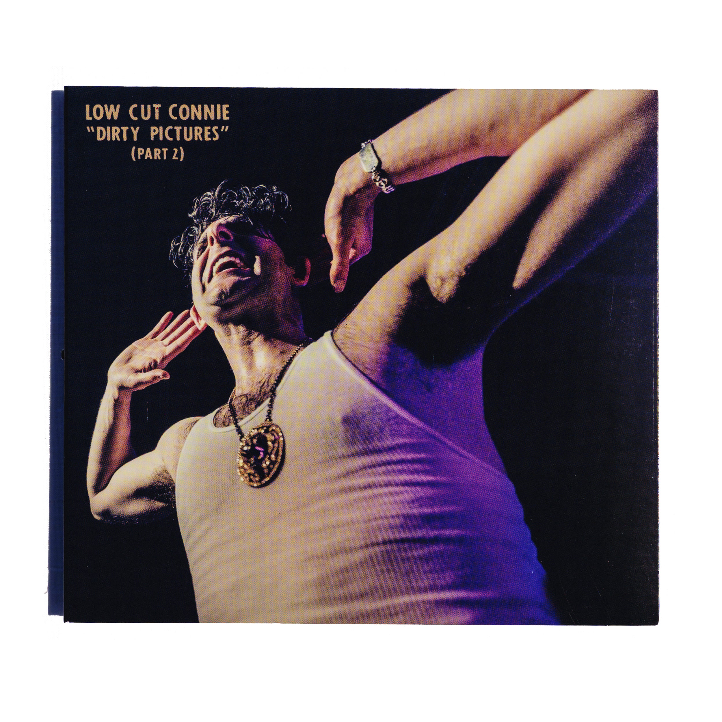 LCC_Merch_CD_DirtyPics_Vol2.jpg