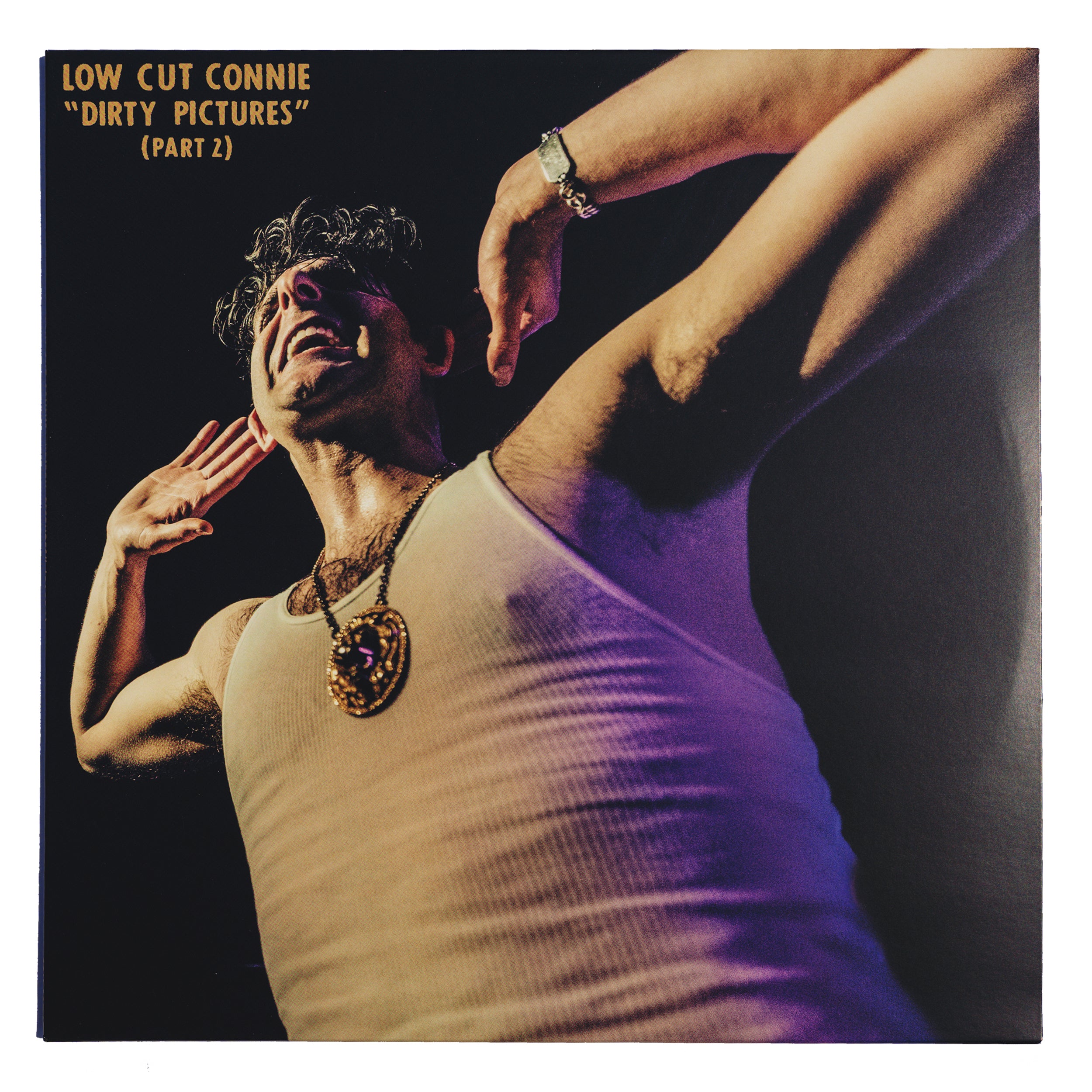 LCC_Merch_Vinyl_DirtyPics_Vol2.jpg