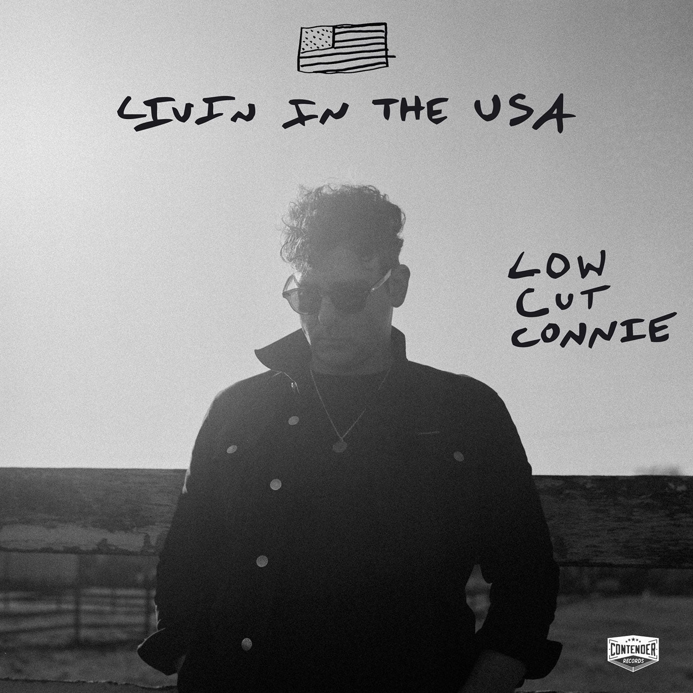 Livin in the USA